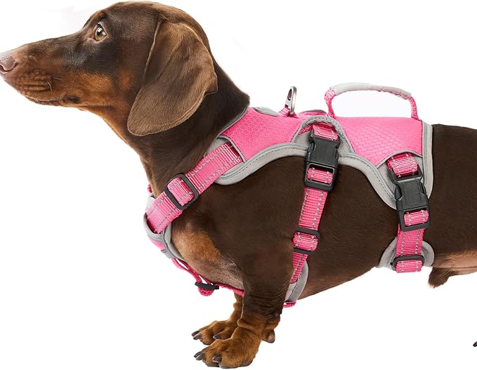 Escape Proof Dog Harness, Dachshund Harness, Reflective Dog Harness with Handle, Durable,Adjustable Vest for Small Medium Large Dogs Walking, Training, and Running Gear (Rose red,S) by Huntboo