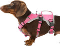 Escape Proof Dog Harness, Dachshund Harness, Reflective Dog Harness with Handle, Durable,Adjustable Vest for Small Medium Large Dogs Walking, Training, and Running Gear (Rose red,S) by Huntboo