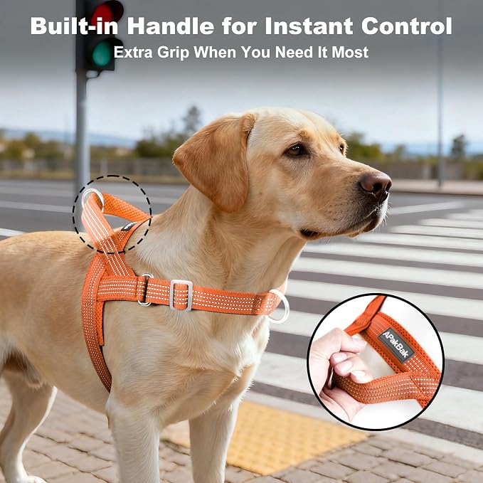No Pull Dog Harness with Handle, Adjustable Soft Mesh Padded Vest | Reflective Walking Harness with Front Clip for Small Medium Large Dogs, Quick Fit No Escape for Training, Orange, XS - Image 3