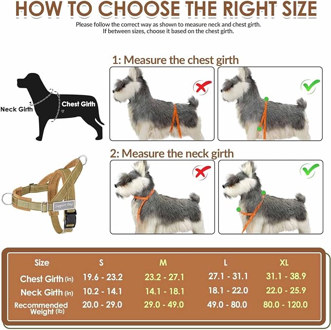 Lukovee No Pull Dog Harness and Leash Set, Soft Padded Vest with Front Clip | Adjustable, No Choke, Reflective,Durable Easy Control Pet Vest Harness for Safe Walking for Medium Large Dogs (Y, M) - Image 5