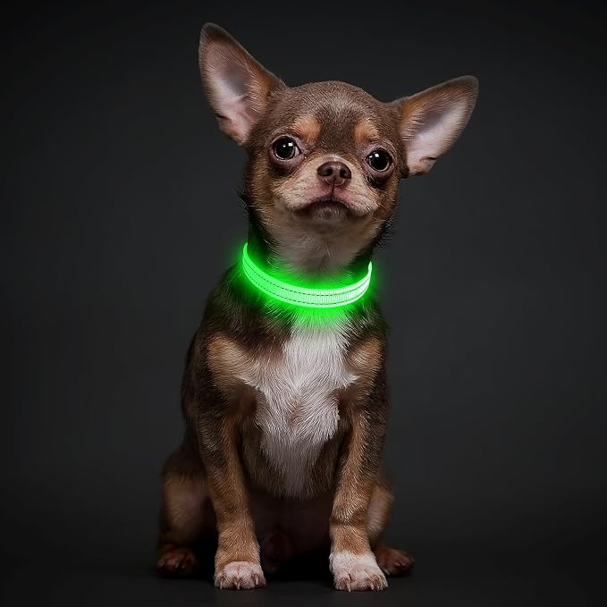 Illumifun LED Dog Collar, USB Rechargeable Light Up Dog Collar, Waterproof Nylon Glowing Safety Collar for Small Dogs Cats (Green, X-Small) - Image 7