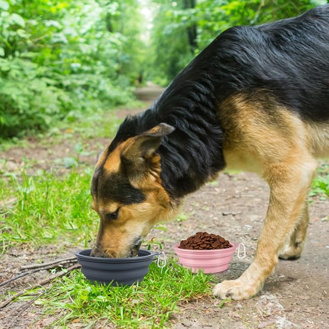 Kytely Collapsible Dog Bowls X-Large (1500ml), 2 Pack Foldable Travel Bowls, Portable Dog Water Food Bowl with Clasp, Pet Feeding Cup Dish for Traveling, Walking, Hiking (Pink+Grey) - Image 7
