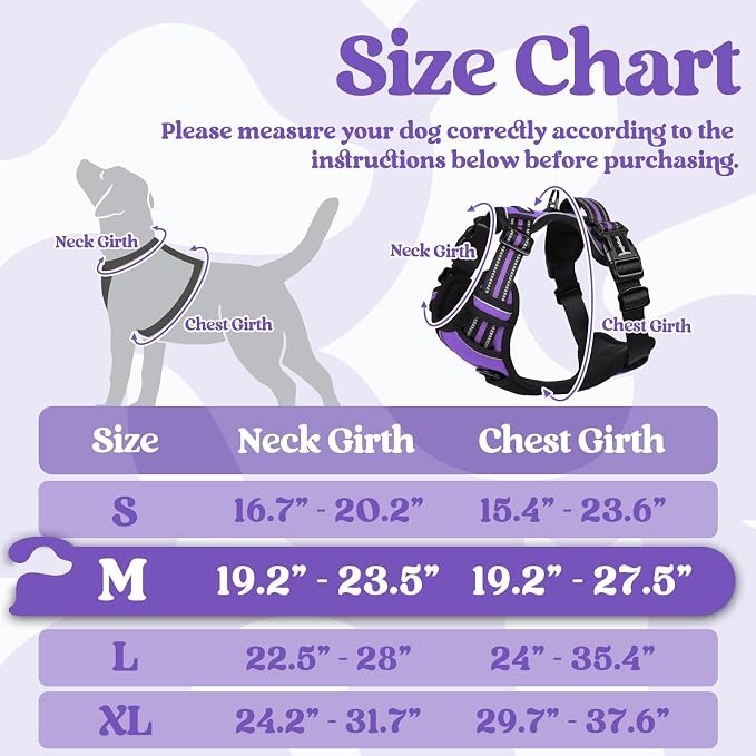 rabbitgoo Dog Harness Medium Sized, Updated Easy On & Off with 3 Buckles | No Pull No Choke, Walking with 2 Clips and Handle, Adjustable Soft Reflective, Purple, Medium - Image 2