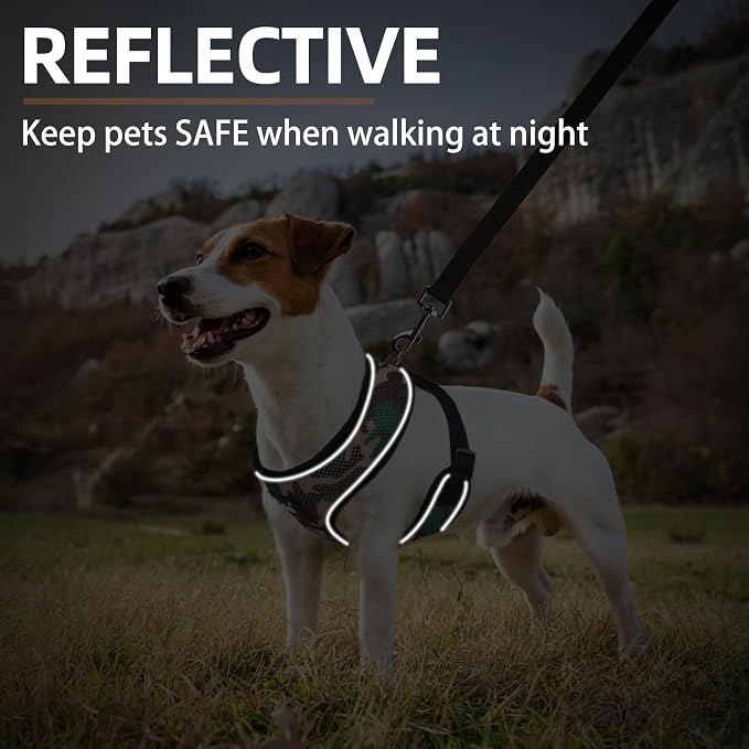PUPTECK Small Dog Harness and Leash Set No Pull for XS XXS Sized Dogs Puppy | Escape Proof No Choke Pet Cat Adjustable Soft Padded Walking Vest - Image 6