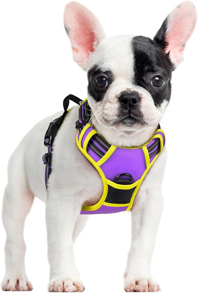 rabbitgoo Dog Harness, No Pull for Small Dogs with 2 Leash Clips, Pet Vest | No Choke with Handle, Adjustable Soft Padded, Reflective, Easy Control for Walking, Purple & Yellow, Small by rabbitgoo