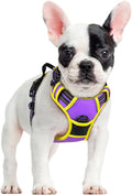 rabbitgoo Dog Harness, No Pull for Small Dogs with 2 Leash Clips, Pet Vest | No Choke with Handle, Adjustable Soft Padded, Reflective, Easy Control for Walking, Purple & Yellow, Small by rabbitgoo