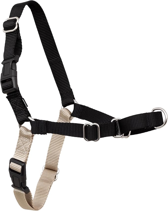 PetSafe Easy Walk Harness, No Pull Dog Harness, Black, Small/Medium | Patented Martingale Loop Gives Gradual Shoulder Pressure to Stop Pulling, Front-Chest Leash Clip Prevents Gagging by PetSafe