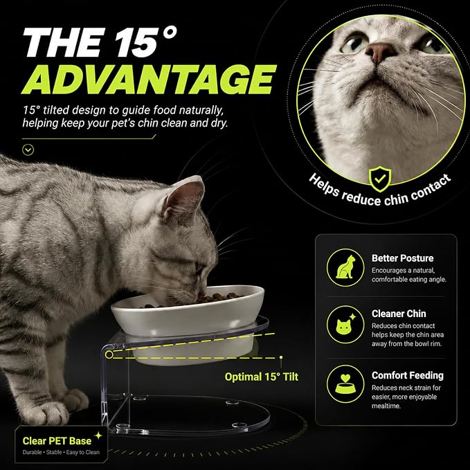 LivLab Mker Raised Cat Bowl, 15° Tilted, 4.5 in High, White | 15° tilted shallow melamine bowl on a 4.5 in raised stand supports comfortable feeding and reduces whisker contact. - Image 3