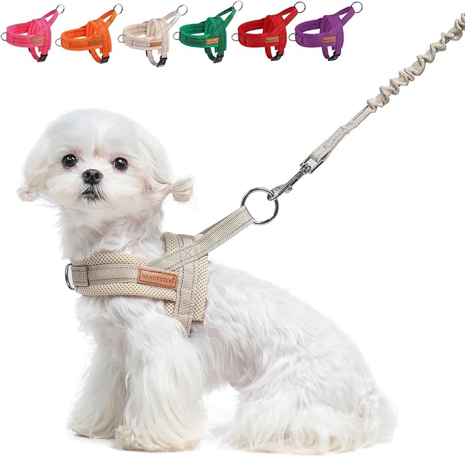 BEAUTYZOO Small Dog Harness and Leash Set, No Pull Step in Puppy Vest | Breathable Mesh with Handle, Reflective, Adjustable No Choke Escape Proof, Lightweight, Easy Control for Walking, Beige XXS by BEAUTYZOO