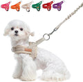 BEAUTYZOO Small Dog Harness and Leash Set, No Pull Step in Puppy Vest | Breathable Mesh with Handle, Reflective, Adjustable No Choke Escape Proof, Lightweight, Easy Control for Walking, Beige XXS by BEAUTYZOO