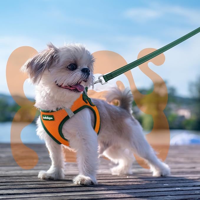 rabbitgoo Dog Harness Small Sized and Leash Set, Step in Soft Vest | Breathable Mesh, Easy Wear with Hook & Loop, Light and Reflective for Walking, Multi-colored, Orange & Dark Green, XXS - Image 8