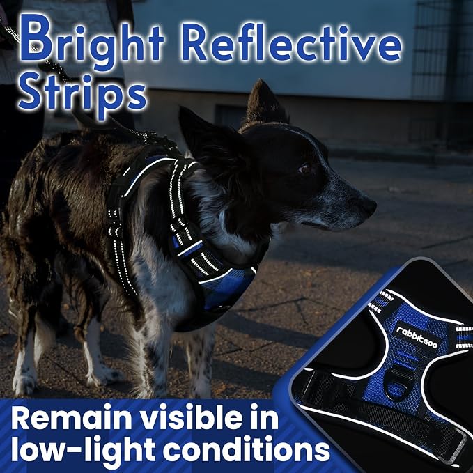 rabbitgoo Dog Harness, No Pull for Large Dogs with 2 Leash Clips, Pet Vest | No Choke with Handle, Adjustable Soft Padded, Reflective, Easy Control for Walking, Blue Plaid, Small - Image 7