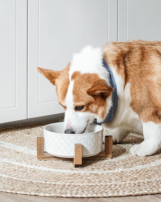 LE TAUCI Ceramic Dog Bowls for Large Dogs, 7" Elevated Water Bowl with Acacia Wood Stand, Single Set for Food & Water, Fireworks - Image 2