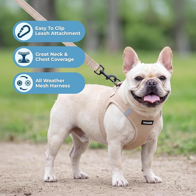 Best Pet Supplies Voyager Step-in Air All Weather Mesh Harness and Reflective Dog 5ft Leash Combo with Neoprene Handle, for Small, Medium and Large Breed Puppies - Khaki, XS - Image 5