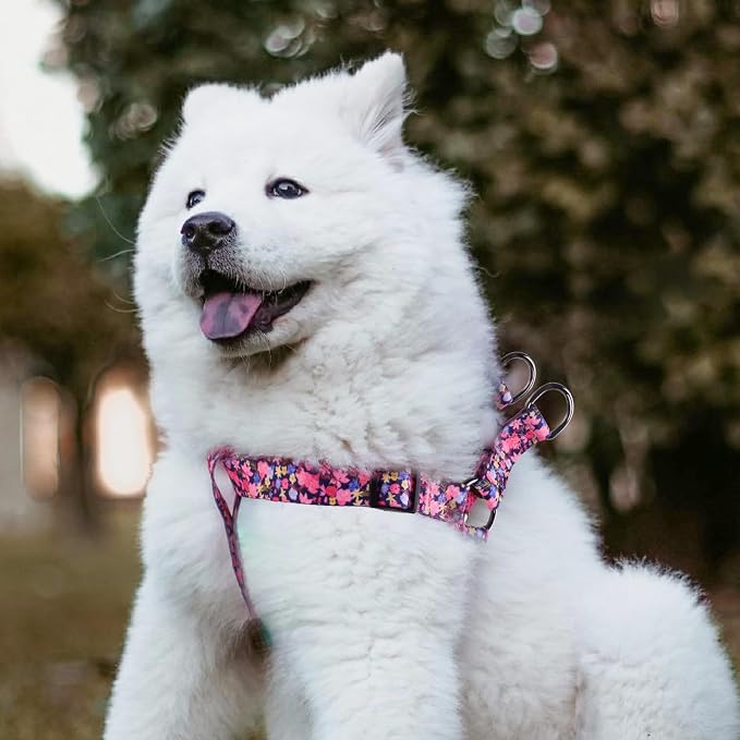Dog Harness Leash Set Adjustable Heavy Duty No Pull Halter Harnesses for Small Medium Large Breed Dogs Back Clip Anti-Twist Perfect for Walking - Image 6
