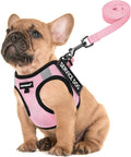 FAYOGOO Service Dog Vest Set for Small Dogs, Mesh Harness and Leash | Lightweight step-in vest with leash and removable identification patches; measure neck and chest before choosing a size by FAYOGOO