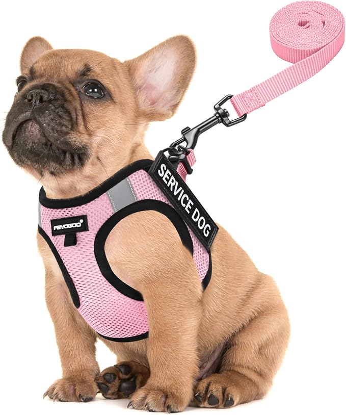 FAYOGOO Service Dog Vest Set for Small Dogs, Mesh Harness and Leash | Lightweight step-in vest with leash and removable identification patches; measure neck and chest before choosing a size by FAYOGOO