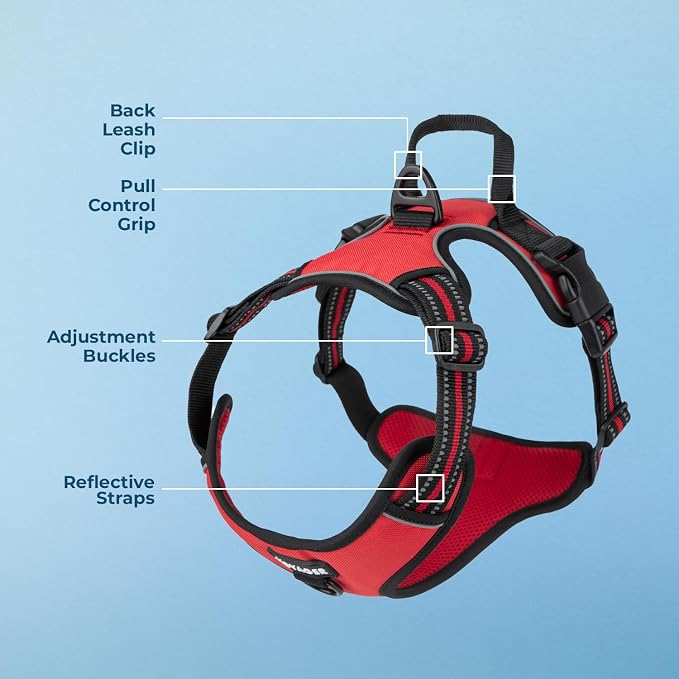 Voyager Dual Attachment No Pull Harness - Red, X-Large | 28 - 37" in Chest, No Pull Dog Harness, Fully Adjustable, 3M Reflective Technology, Front & Back D-Rings, Walking & Training - Image 4