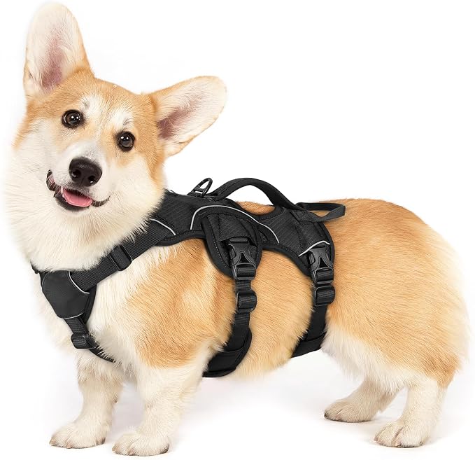 rabbitgoo Escape Proof Dog Harness for Small, No Pull with Lift Handle | No Escape, Full Soft Padded, Reflective Adjustable Vest, Leash Clip for Walking Hiking Training, Black, Small by rabbitgoo