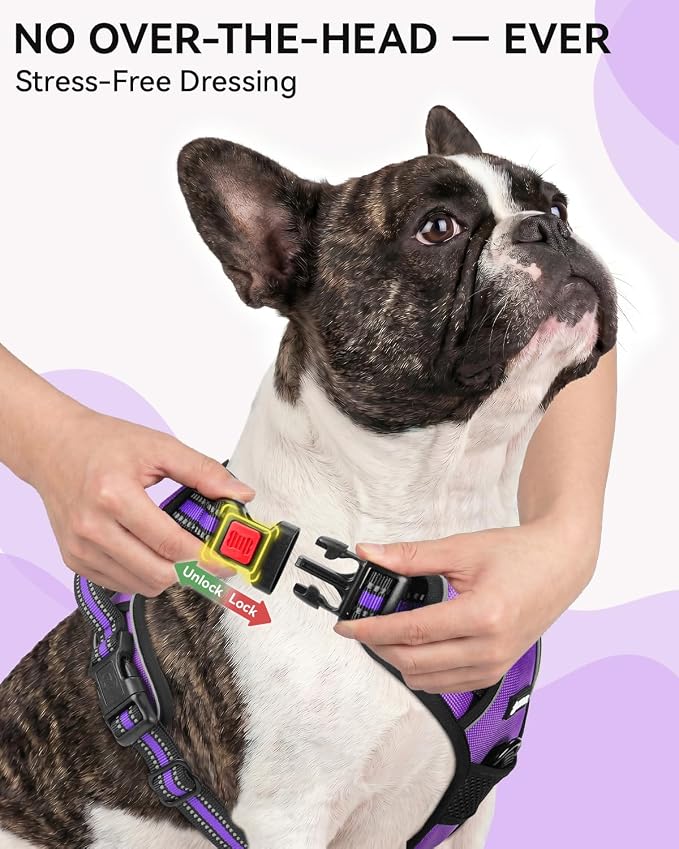 Joytale No Pull Dog Harness & Seat Belt, Easy On 3-Buckle, M, Purple | Front Clip Reduces Pulling, Escape-Resistant Design, Adjustable Fit, Soft Padding for Comfort, Secure Tether for Safer Travel - Image 2