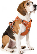 HEELE Dog Harness for Medium Dogs No Pull Dog Vest Harness with Soft Padded Handle Reflective for Outdoor Training, Pumpkin Orange, M | No Choke with Control Handle, Soft Breathable Padded Pet Vest, Adjustable, Reflective Front Clip Vest for Night Walking by HEELE