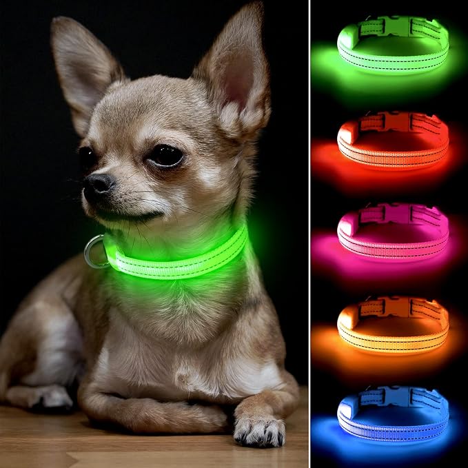 BSEEN Adjustable LED Dog & Cat Collar - Rechargeable, Small Breeds, Green, 8.5-11.8 inches, Nylon, Lightweight, Reflective, 2 Flash Modes | Glow in the Dark Rechargeable Reflective Adjustable Flashing Illuminous Safety Dog Lights for Night Walking by BSEEN
