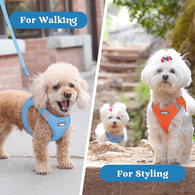 rabbitgoo Step-in Small Dog Harness, Puppy Vest for Small Sized Pet | Easy Put on and off, Lightweight, Soft, Breathable Quick-Dry Air Mesh for Comfortable Secure Walking, Blue M - Image 9