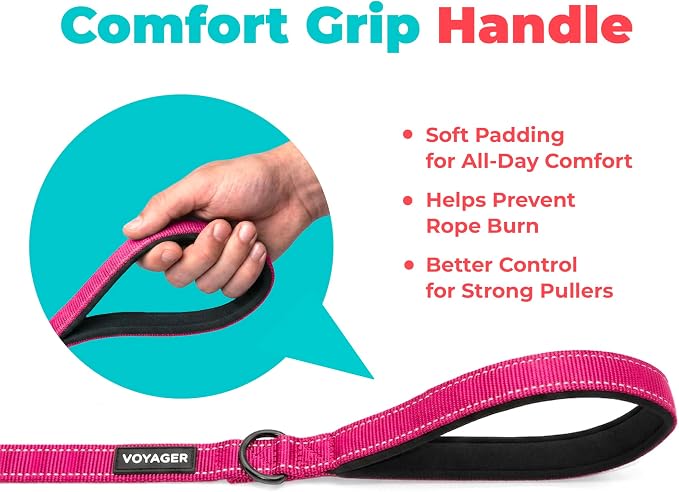Best Pet Supplies Voyager Nylon Dog Leash - 6ft Fuchsia, Large | 6ft in Length, 1" in Width, Reflective, Soft Neoprene Handle, Heavy Duty Metal Clips for Running, Walking & Training - Image 5