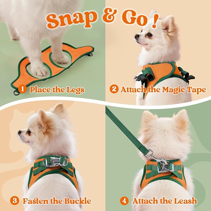 rabbitgoo Dog Harness Small Sized and Leash Set, Step in Soft Vest | Breathable Mesh, Easy Wear with Hook & Loop, Light and Reflective for Walking, Multi-colored, Orange & Dark Green, L - Image 2