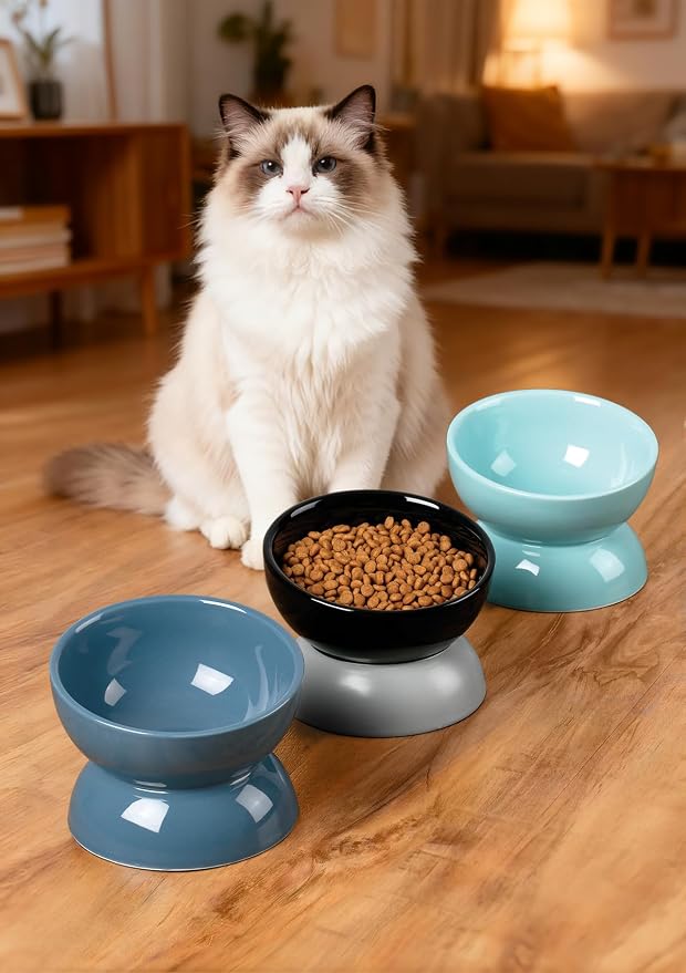 ABRUTY Cat Water Bowl, 16 OZ Ceramic Elevated Cat Bowls, 15° Tilted and Raised Pet Food Dish, Anti Vomiting Protect Pets' Spines and Whisker Fatigue, Blue - Image 7
