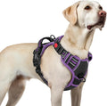 rabbitgoo Dog Harness for Large, Updated Easy On & Off with 3 Buckles | No Pull No Choke, Walking with 2 Clips and Handle, Adjustable Soft Reflective, Black & Purple, Large by rabbitgoo