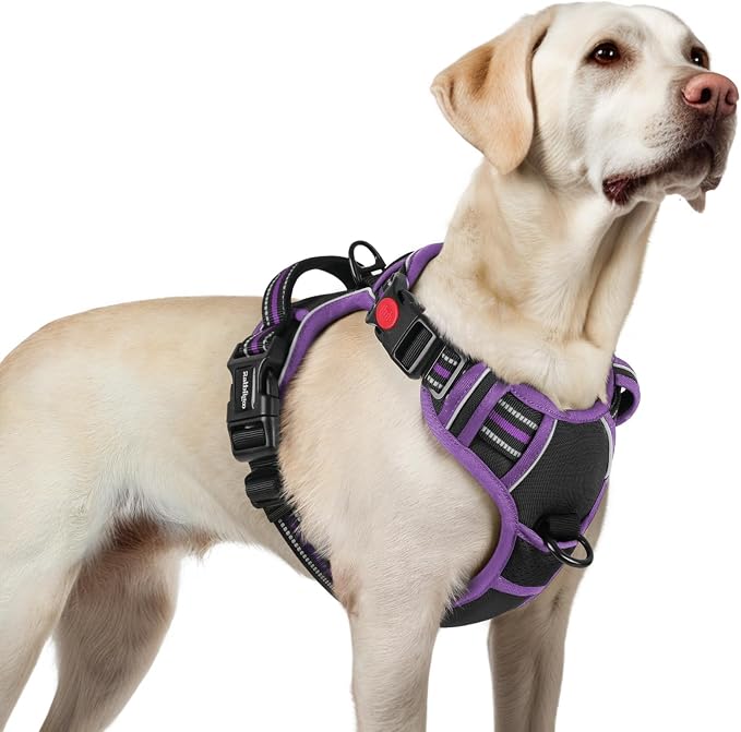 rabbitgoo Dog Harness for Large, Updated Easy On & Off with 3 Buckles | No Pull No Choke, Walking with 2 Clips and Handle, Adjustable Soft Reflective, Black & Purple, Large by rabbitgoo