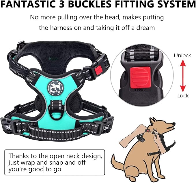 PoyPet No Pull Dog Harness Medium with Front Clip & Neck Release Buckle | No Choke, Adjustable Vest, Reflective, Back Clip, Lockable, Soft Padded Handle for Walking Training, M, Mint Blue - Image 4