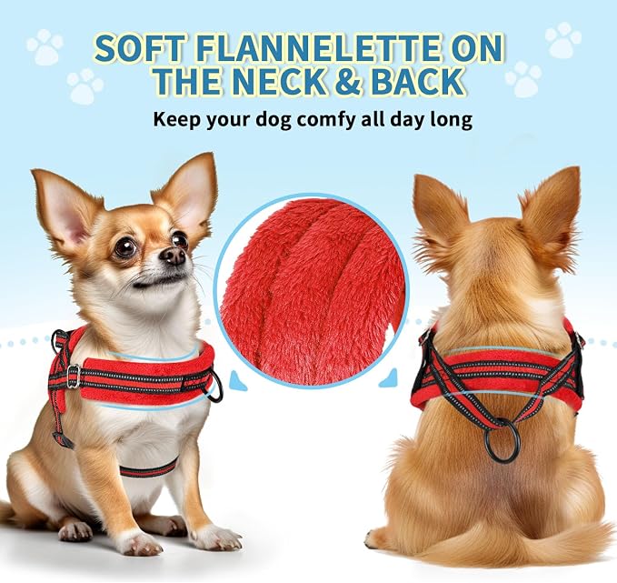 SlowTon No Pull Small Dog Harness and Leash Set with Front Clip | Soft Padded, Neck & Chest Adjustable, Lightweight, Anti-Twist, Puppy Vest Harness Pet Lead Combo for Small Medium Dog, R XXS - Image 2