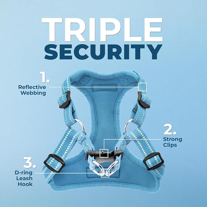 Best Pet Supplies Voyager Adjustable Step-in Flex Breathable Mesh Dog Harness for Small Medium Large Dogs Leash Set (Baby Blue), L - Image 2