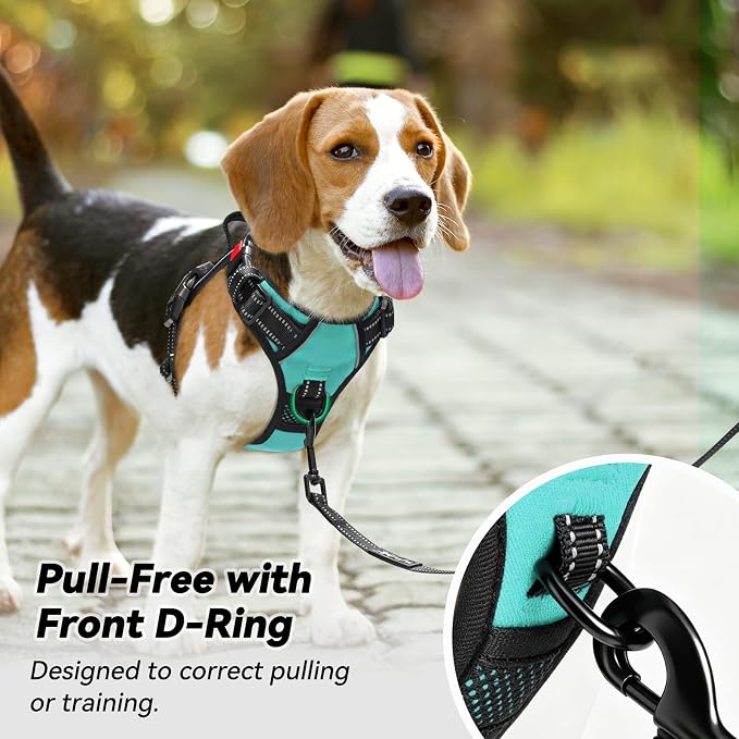 PoyPet No Pull Dog Harness Large with Front Clip & Neck Release Buckle | No Choke, Adjustable Vest, Reflective, Back Clip, Lockable, Soft Padded Handle for Walking Training, XL, Mint Blue - Image 3
