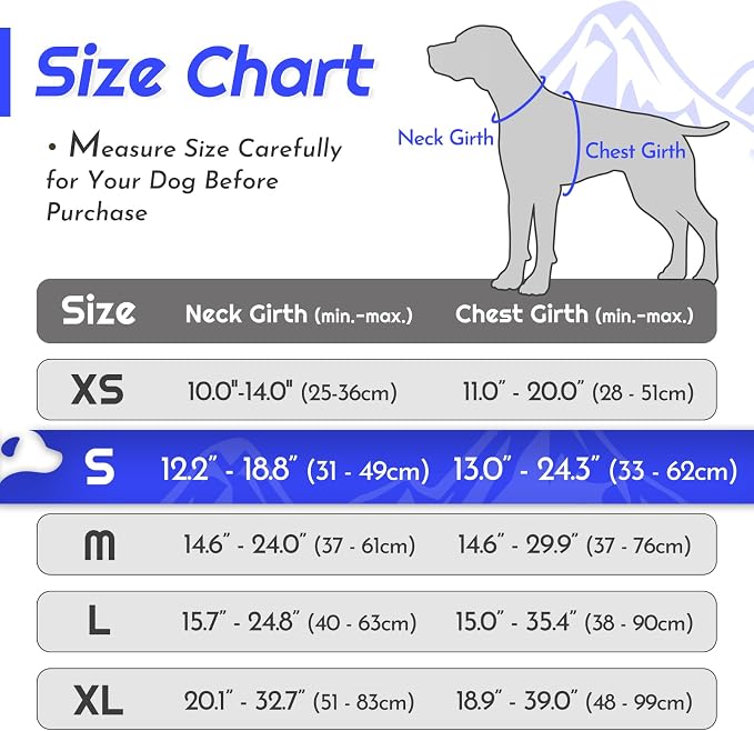 Eagloo Dog Harness for Small Dogs, No Pull Pet Vest with 2 Leash Clips | No Choke with Handle, Adjustable Comfort Fit, Reflective Strips, Easy Walking Control, Blue, Small - Image 2
