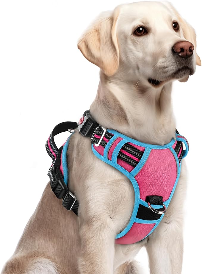 rabbitgoo Dog Harness for Large, No Pull 3 Buckles Easy On & Off | Soft Padded, Walking with Control Handle, Adjustable and Reflective, Pink & Blue, Large by rabbitgoo
