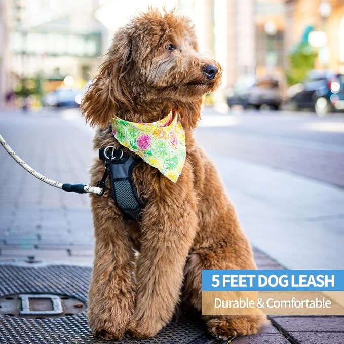 2/4/5/6 FT Dog Leash with Comfortable Padded Handle and Highly Reflective Threads for Small Medium and Large Dogs (5FT-1/2'', Silver) - Image 5