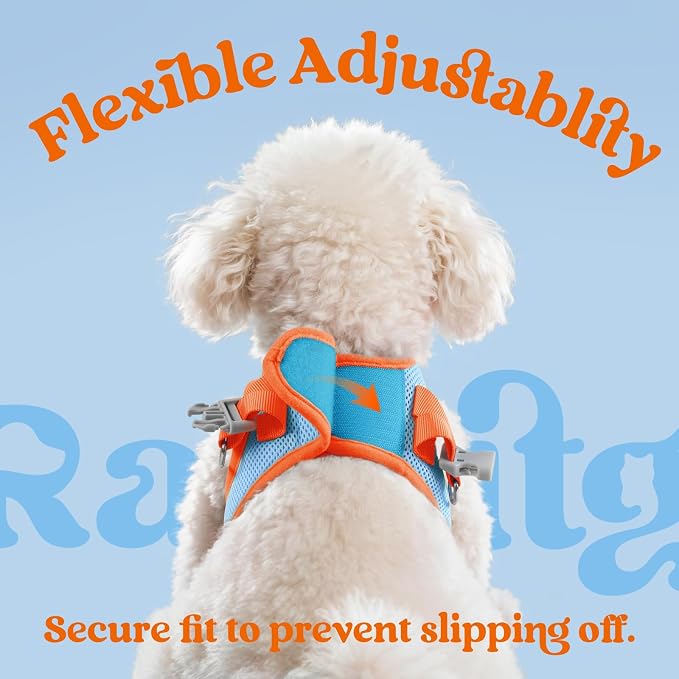 rabbitgoo Dog Harness Small Sized and Leash Set, Step in Soft Vest | Breathable Mesh, Easy Wear with Hook & Loop, Light and Reflective for Walking, Multi-colored, Blue & Orange, XS - Image 6