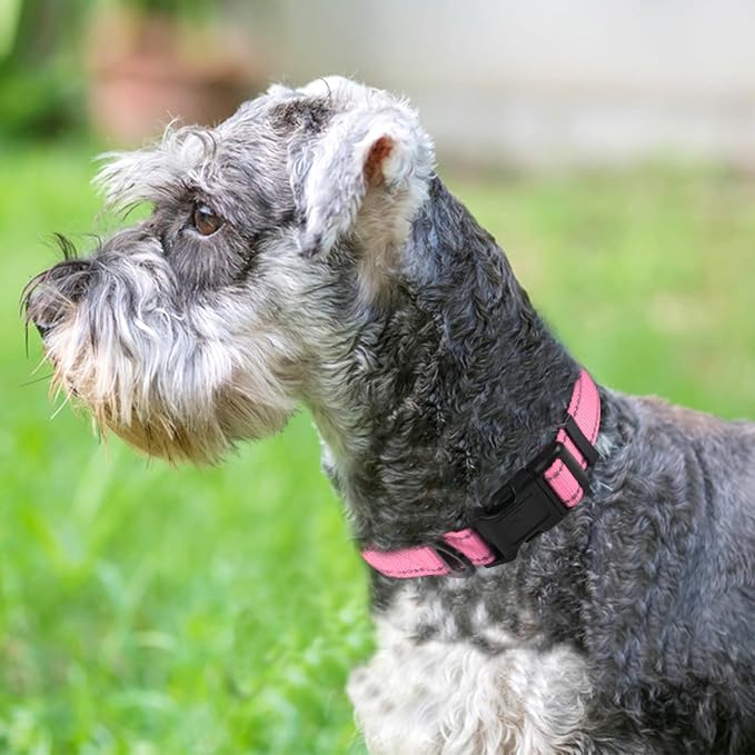 Joytale Reflective Dog Collar, Adjustable Neoprene Padded, Pink L | Breathable Nylon for Large Dogs, No Chafing on Walks and Outdoor Hikes, Tear-Resistant Webbing, Metal D-Ring, Night Safety - Image 2
