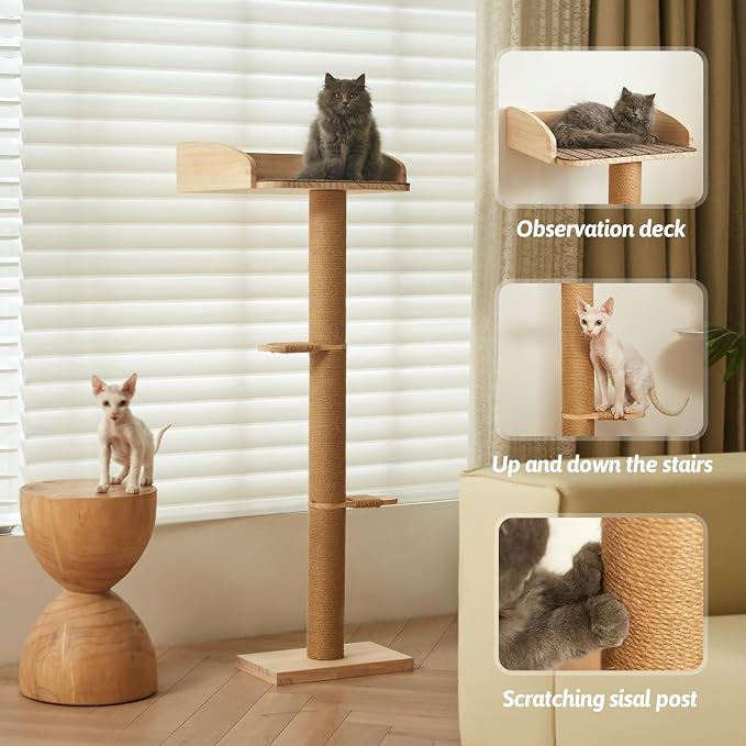 Cat Window Perch with Tall Scratching Posts, Inside 48 in Tall Climbing Tree Hammmock Mounted with Suction Cups for Climbing, Bird Watching, and Play, Supports 45 lbs - Image 3