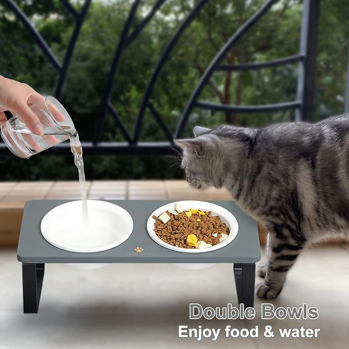 Sunhoo Ceramic Elevated Cat Bowls Raised Puppy Dishes for Food and Water Tilted Wooden Stand for Indoor Cats 5.5 inch Wide Double Dish Orthopedic Reduces Vomiting (Grey) - Image 2