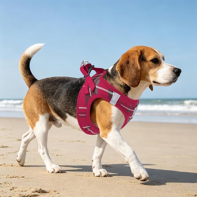 PUPTECK Dog Harness, Collar and Leash Set No Pull for Small Medium Sized | Plaid Puppy Step-in Escape Proof Reflective No Choke Pet Cat Adjustable Walking Vest - Image 9