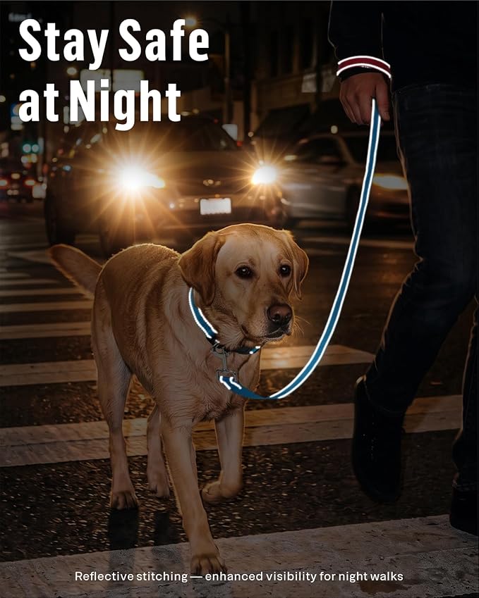 FunTags Reflective Nylon Dog Leash for Medium & Large Dogs, 6FT for Walks | Comfortable Padded Grip, Stay Safe at Night, 360° Anti-Tangle Swivel, for Dog Parks & Trails, Sky Blue - Image 3