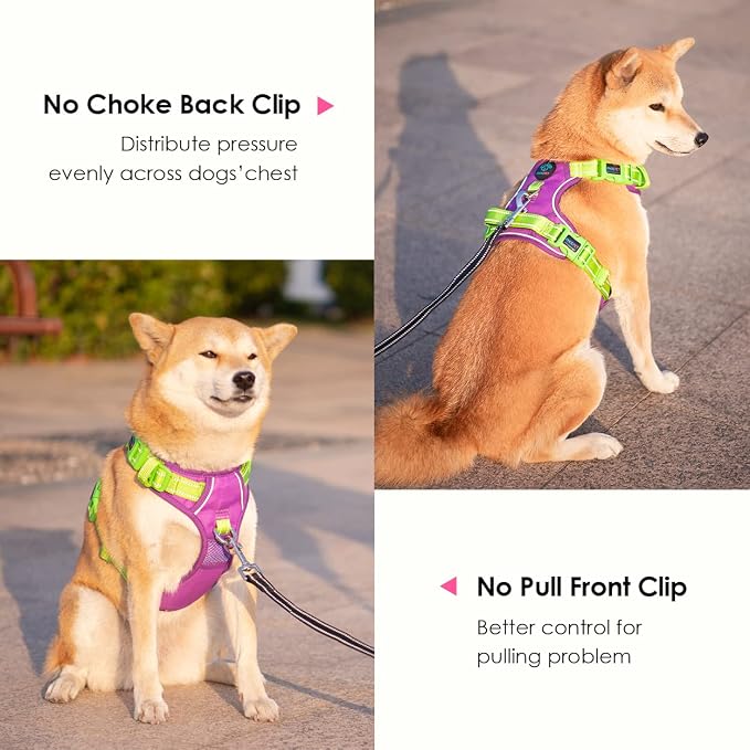 No Pull Dog Harness, Unique Colors Reflective Adjustable Dog Vest | with Soft Training Handle Metal Clips for Small Medium Large Dogs (Purple Base & Green Straps,XS) - Image 4