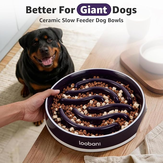 LOOBANI 4.5 Cups Ceramic Slow Feeder Dog Bowls Giant Dogs with Grip Handles | Heavy Ceramic, Stay in Place, Healthier Eating, Durable & Easy-Clean, Foam-Protected, Perfect for Fast-Eating Large Breeds - Image 7