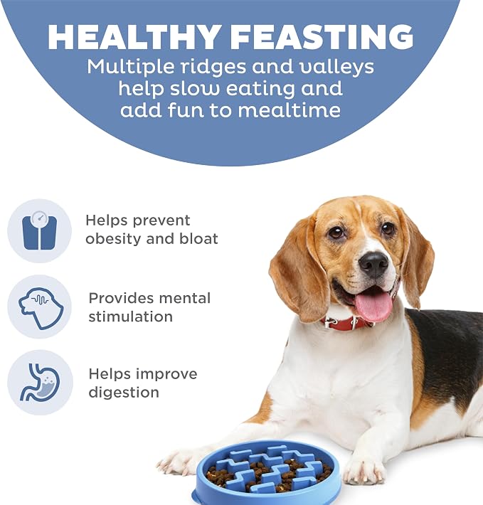 Outward Hound Fun Feeder Slo Bowl – Medium 2‑Cup Capacity, Slow Feeding, Small to Medium Dogs & Cats, Non-Slip, Blue, Notch Pattern | Slows Fast Eaters, Can Aid Digestion, Holds 2 Cups Dry or Wet Food, Non-Slip, Easy Clean, No BPA, Small to Medium Dogs... - Image 2