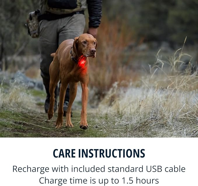 Ruffwear, Beacon Safety Light for Dogs, Rechargeable, Clear Lake | Durable & Waterproof, High Performance Safety Light Visible in Low-Light Conditions or Inclement Weather, 3 LED Color Options - Image 4