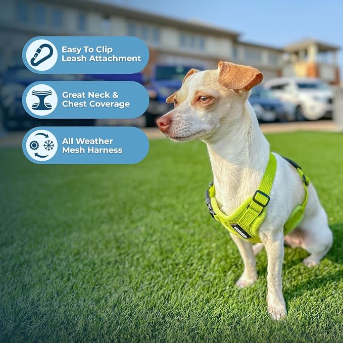 Best Pet Supplies Voyager Step-in Air All Weather Mesh Harness and Reflective Dog 5ft Leash Combo with Neoprene Handle, for Small, Medium and Large Breed Puppies - Lime Green, XXX-Small - Image 5